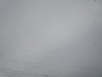 IMG_0835