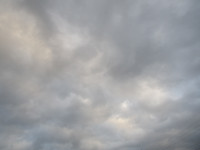 IMG_2402
