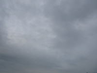IMG_0116