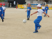 IMGP0930
