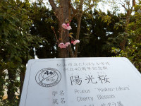 IMGP1082