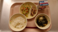 IMGP0147