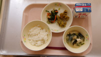 IMGP0161
