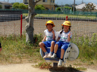 IMGP0310
