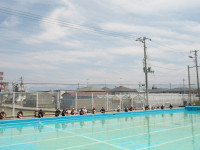 IMGP0450