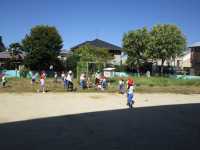 IMG_0194