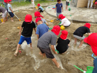 IMGP0574