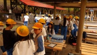 IMGP0146