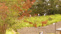 IMGP0338